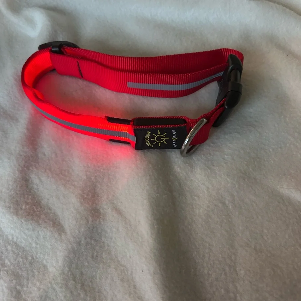 Nite Dawg Light up dog collar red large
